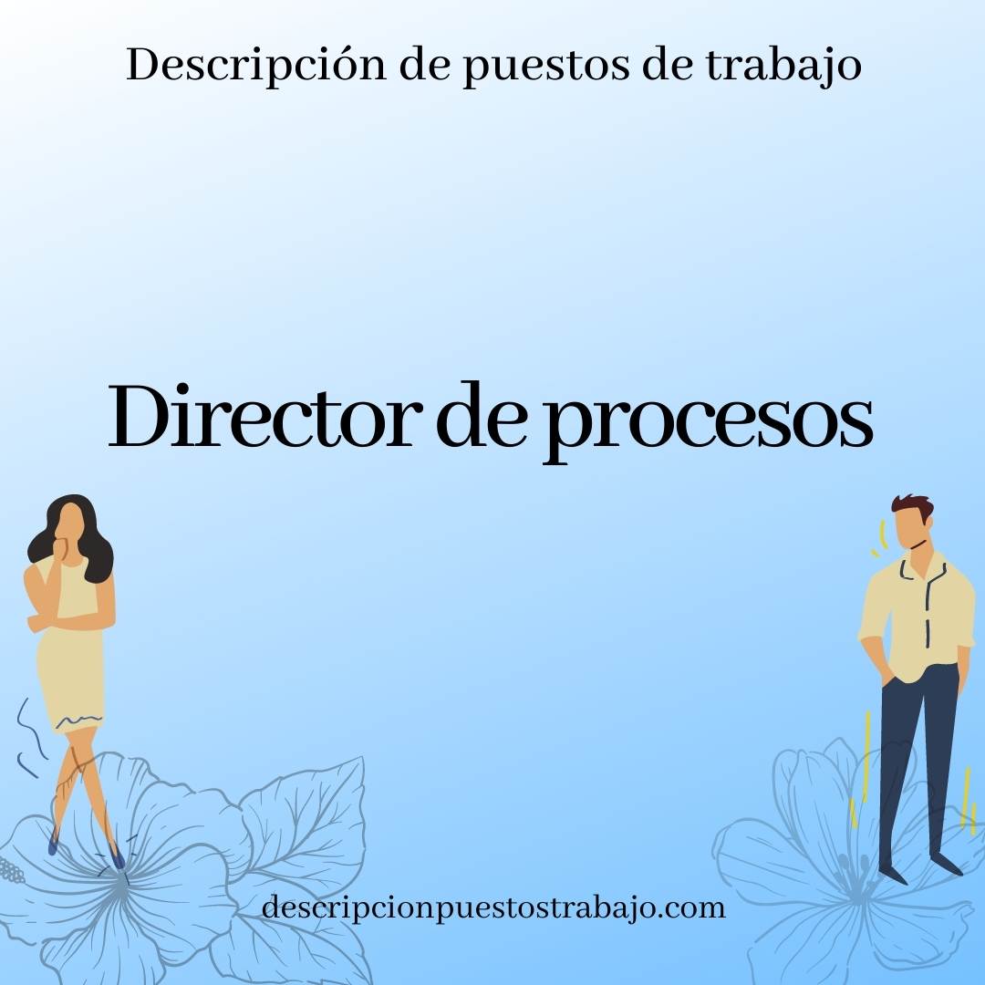 Director de procesos